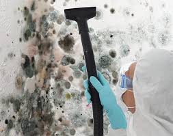 Why You Should Choose Our Mold Remediation Services in Stanley, WI